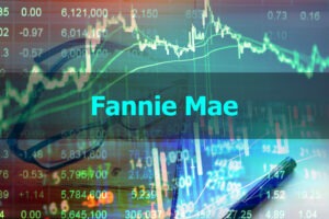 FANNIE SELF EMPLOYED CHANGES