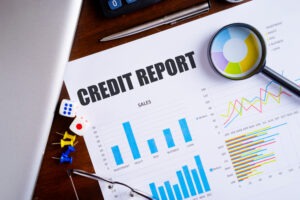 Freee Credit Report